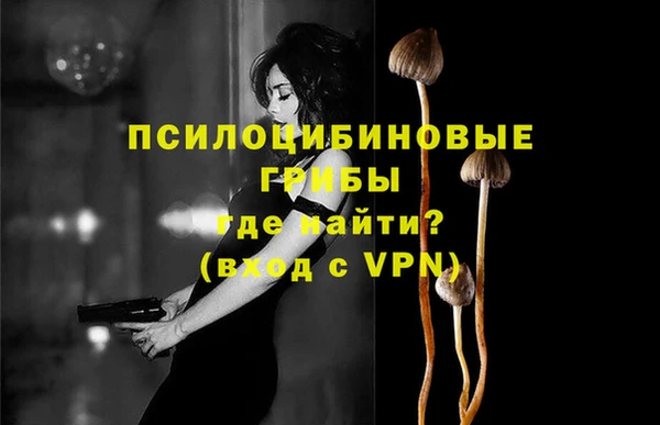 твердый Бугульма