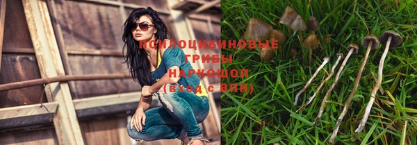 крисы Вязники
