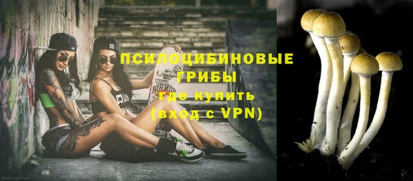 крисы Вязники
